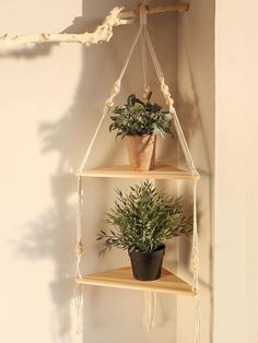 two potted plants sit on three tiered shelvings in front of a white wall