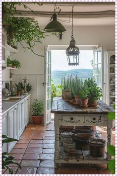 an open kitchen with potted plants on the counter and hanging lights over the sink