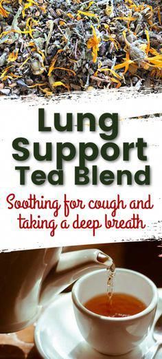 Lung Remedies, Lung Support, Home Apothecary, Difficulty Breathing, Herbal Teas Recipes, Herbal Tea Blends, Echinacea Purpurea