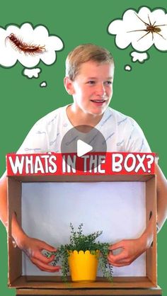 Kimbo- on Instagram: "What’s in the box!? A totally fun game to play this Halloween with gross and spooky things! Full details are here: https://www.agirlandagluegun.com/whats-in-the-box-fun-group-game/" Guess What’s In The Box Game, Whats In The Box Challenge, Fun Group Games, Box Challenge, Spooky Things, Game To Play, Fun Group, Group Games, Fun Games