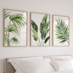 three paintings on the wall above a bed with white sheets, pillows and pillowcases