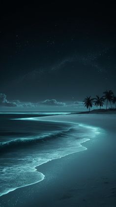 an ocean beach with palm trees on the shore and stars in the sky above it