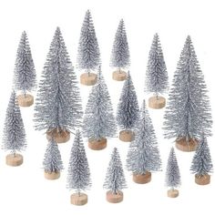 twelve small silver christmas trees on wooden bases