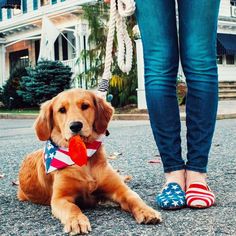 a woman is walking her dog on the street with an american flag bandanna around her neck