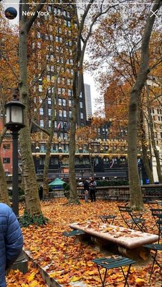 a man sitting on a bench in the middle of an autumn park