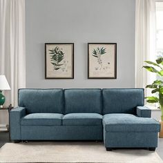 a living room with a blue couch and two pictures on the wall above it,