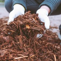 a person in white gloves is picking up wood shavings from the mulch