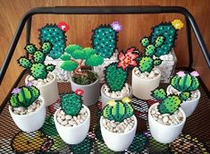 small cactuses are arranged in white pots on a table