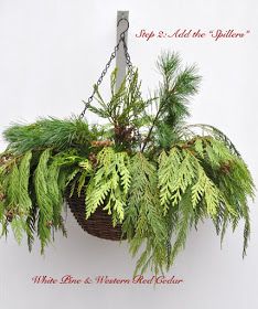 a hanging basket filled with green plants and pine cones on a white wall behind it