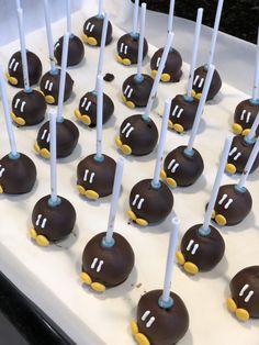 chocolate cake pops with white and blue icing are arranged in the shape of ducks