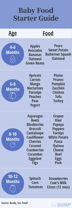 the baby food starter guide is shown in blue and white, with information about it