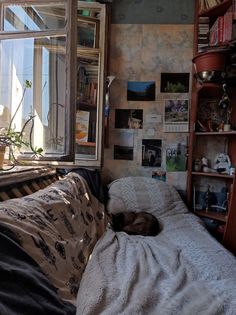 a cat sleeping on top of a bed next to a window