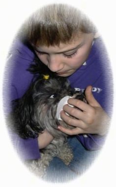 a young boy holding a small dog in his lap and looking at it's face