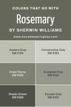 Colors that Go With Rosemary SW 6187 by Sherwin Williams Sw Austere Gray, Rosemary Sw, Austere Gray, Escape Gray, Basement Paint Colors, Green Grey Paint, Sherwin Williams Gray