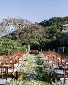 an outdoor ceremony set up with wooden chairs and white flowers on the aisle, surrounded by greenery