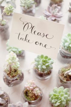 a table topped with lots of small succulents and a sign that says please take one