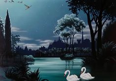 two swans are swimming in the water at night