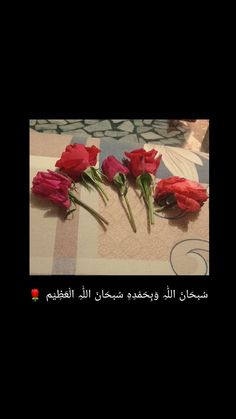 three red roses sitting on top of a checkered table cloth with the words in arabic