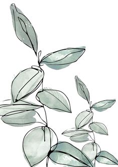 an ink drawing of leaves on a white background