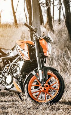 an orange and black motorcycle is parked in the grass next to some trees with no leaves on it