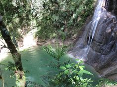 a small waterfall in the middle of a forest