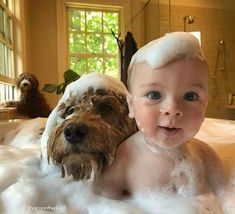 there is a baby and a dog in the bathtub with foam on it's head