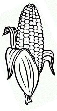 corn on the cob coloring page