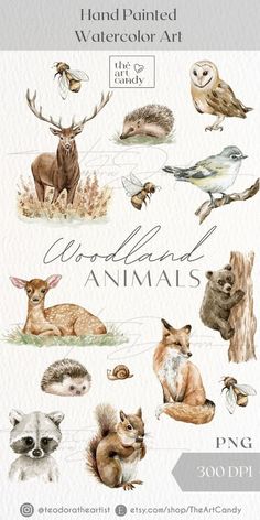 watercolor animals and birds are featured in this poster for the wild animal art project