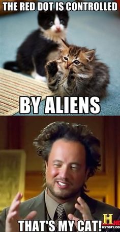 two pictures with cats and caption that says, the red dot is controlled by aliens that's my cat