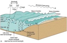 an image of the water cycle and its major functions, including drainages, waves, and transstirings