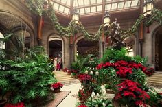 the inside of a building with lots of plants and flowers