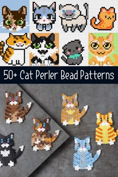 the cat perler bead pattern is shown in different colors and sizes, including cats