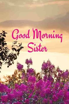 the words good morning sister are written in pink and purple flowers on a sunset background