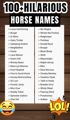 an image of a horse names list with the words'100 + hilarious horse names '