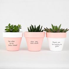 three potted plants with sayings on them