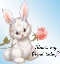 a white bunny holding a pink rose with the words how's my friend today?