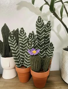 three potted plants are sitting on a table