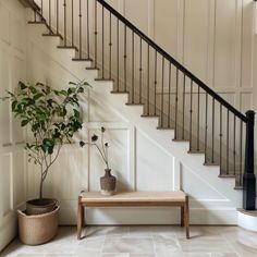 there is a plant on the bench in front of the stair case next to the potted plant