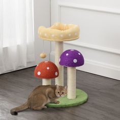 CTR1001A Decor/Pet Accessories/Pet Beds Mushroom Cat Tree, Cats Happy, Cat Tree Scratching Post, Plush Bed, Sisal Rope, Mushroom Design, Food Storage Containers Organization, Wet Cat Food, Baby Organization