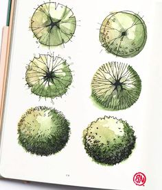 an open book with drawings of umbrellas and plants on it's pages,