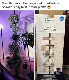 Shower Rack, Plant Hacks, Trailer Ideas, House Plants Decor, Apartment Decor Inspiration, Shower Caddy, House Plants Indoor, Meditation Room, Plant Mom