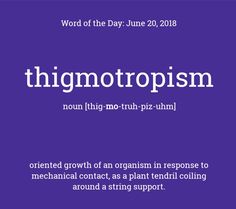 the words'word of the day june 20, 2018'in white on a purple background