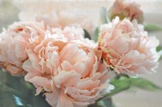 some pink flowers are in a glass vase