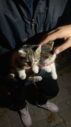 a person holding a small kitten in their lap while another person holds it up to the camera