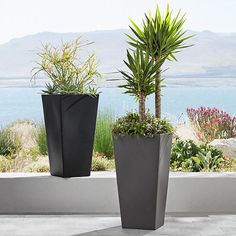 two tall planters sitting next to each other on top of a stone floor near the ocean