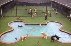 several dogs are playing in an artificial swimming pool with people and their dog pooches