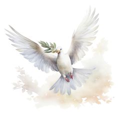 a white dove with an olive branch in it's beak flying through the air