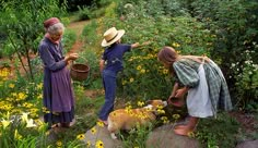 three women and a dog are picking flowers