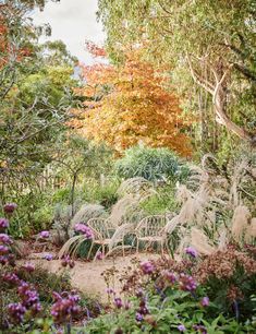 a garden with lots of plants and flowers