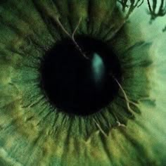 an extreme close up view of the iris of a human eye